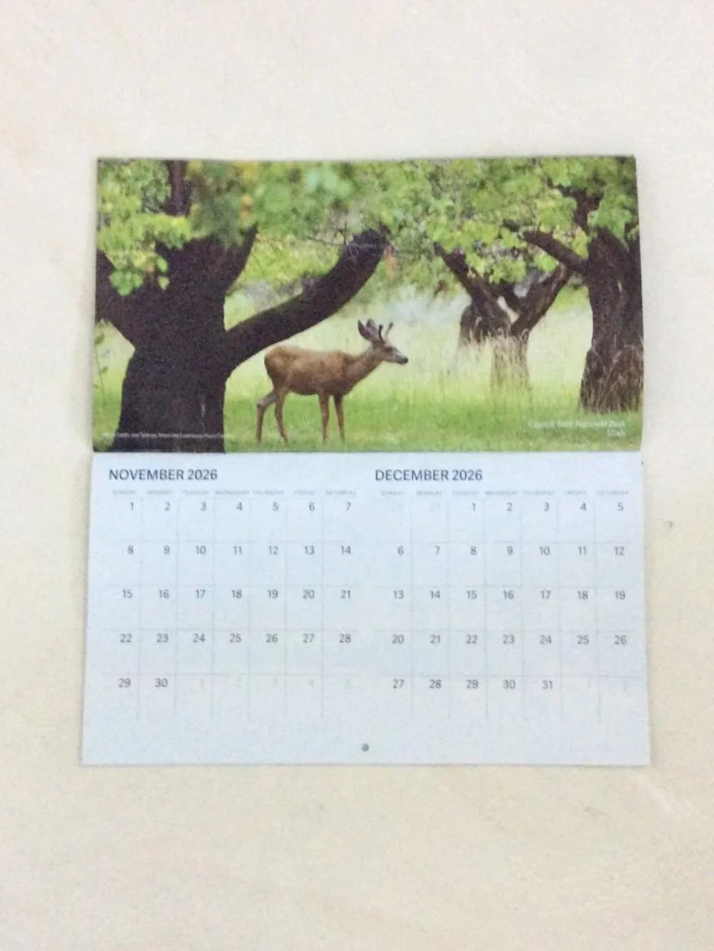 Sourcebooks national park
